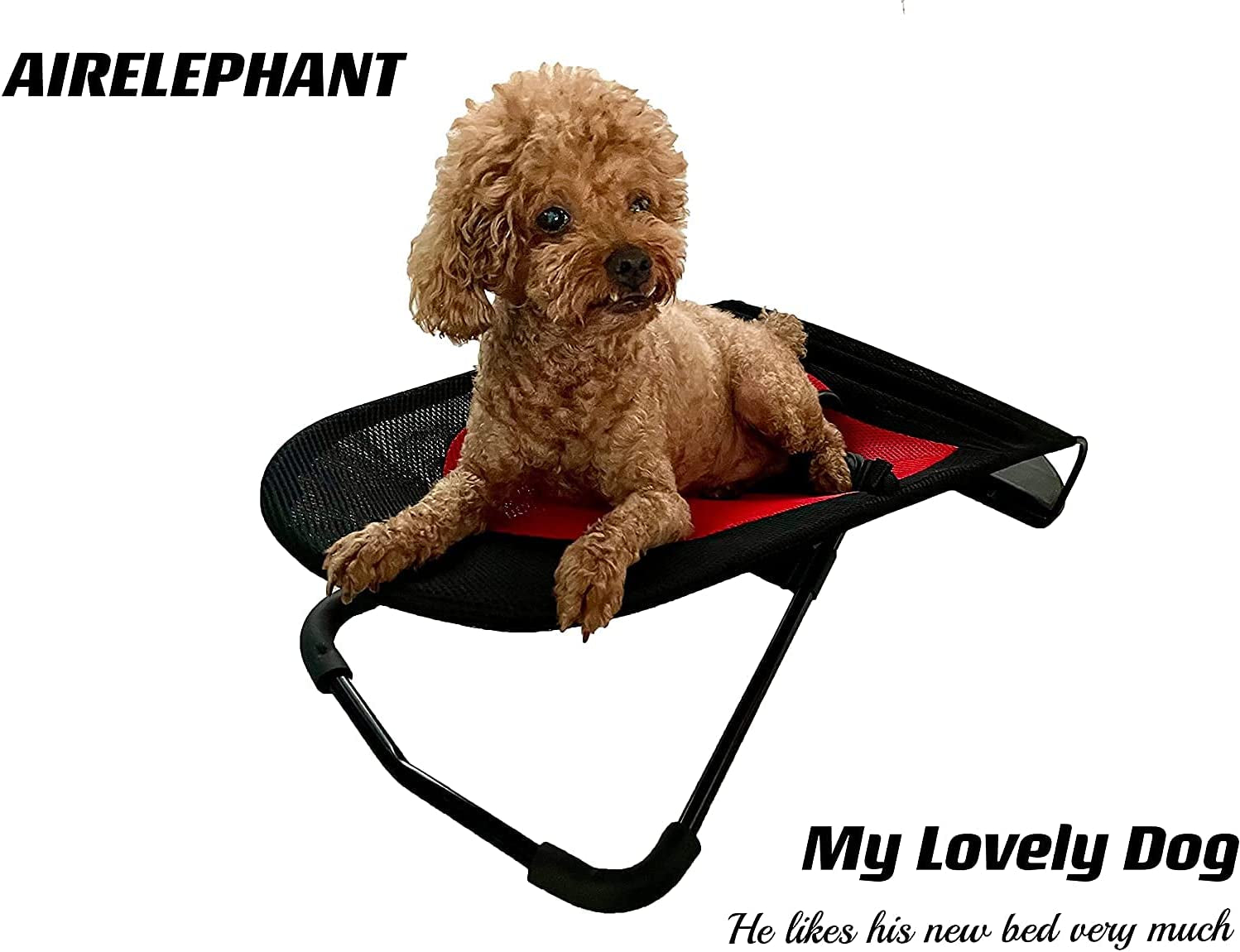 Pet Rocking Bed Chair