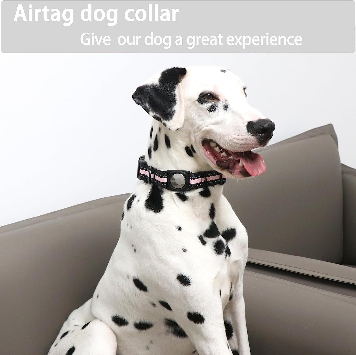 dog caller with airbag holder